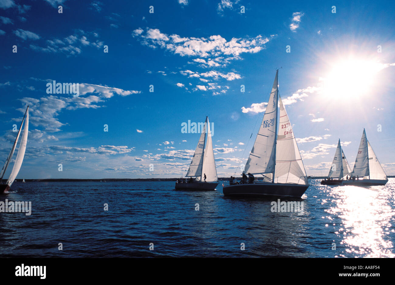 Voilier de course sur la côte atlantique du Canada Banque D'Images