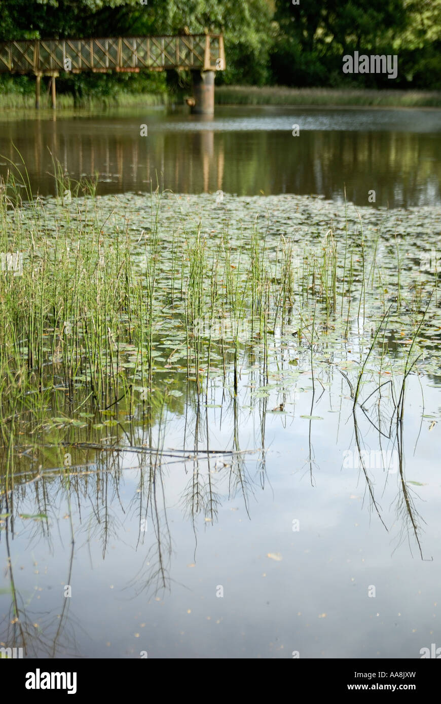 Lac avec Trawscoed jetée de pêche dans l'arrière-plan Banque D'Images
