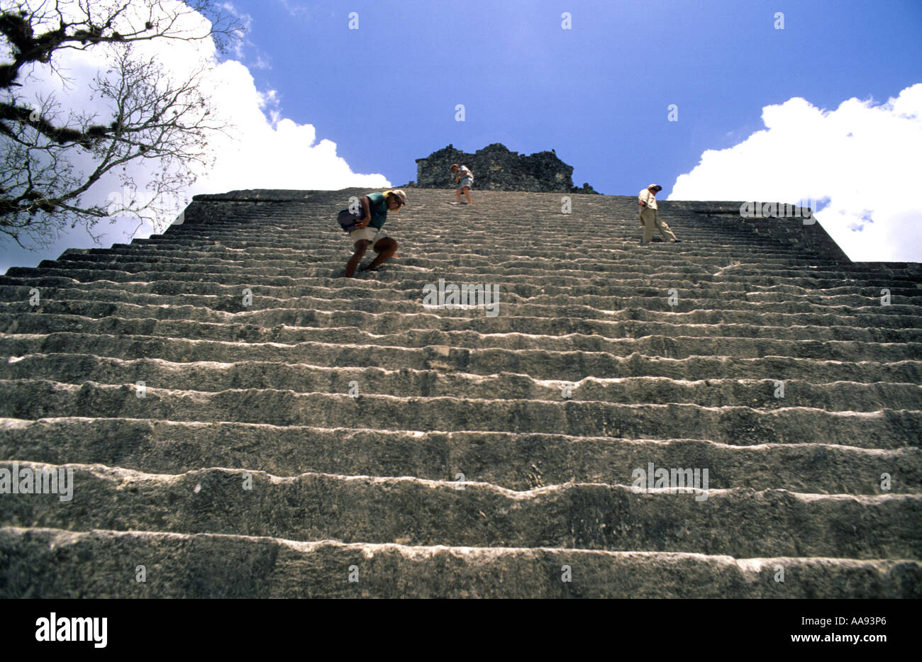 Temple II les ruines mayas de Tikal national park région du Petén au Guatemala Banque D'Images