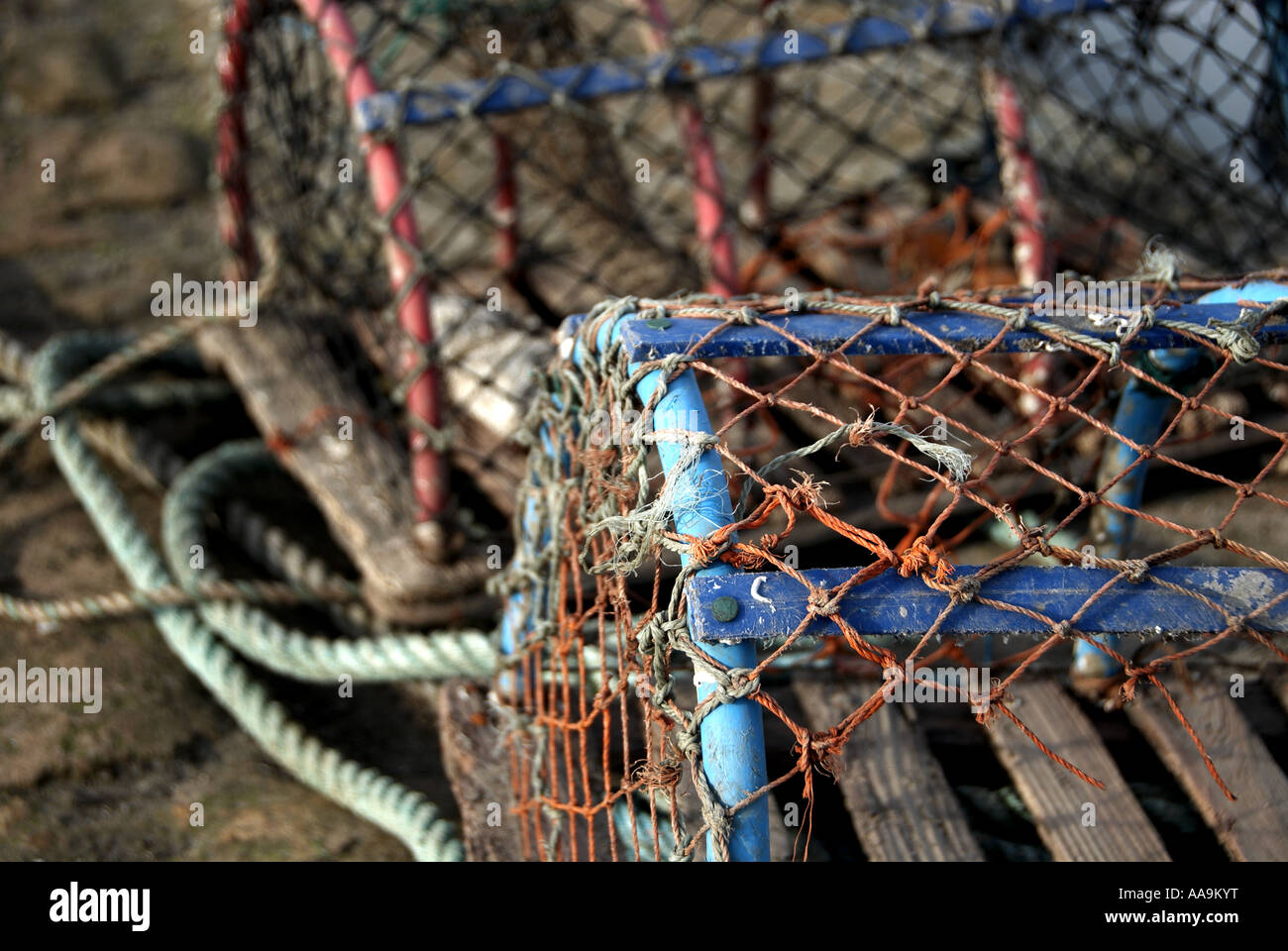Des cages de homard dans le port, Northumberland, Angleterre Banque D'Images