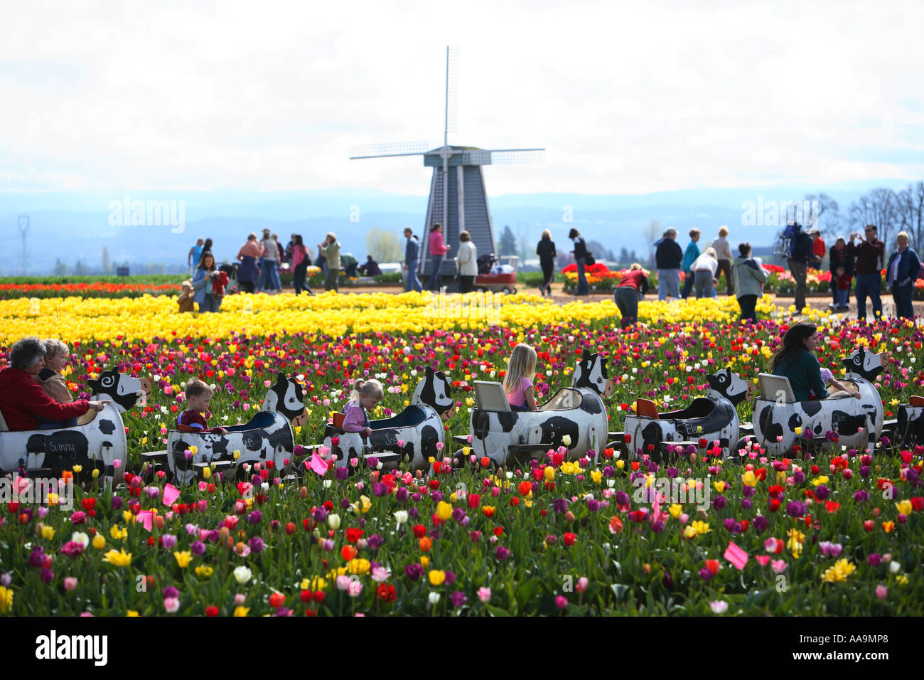 Caisson en bois tulip festival Woodburn, Oregon. Banque D'Images