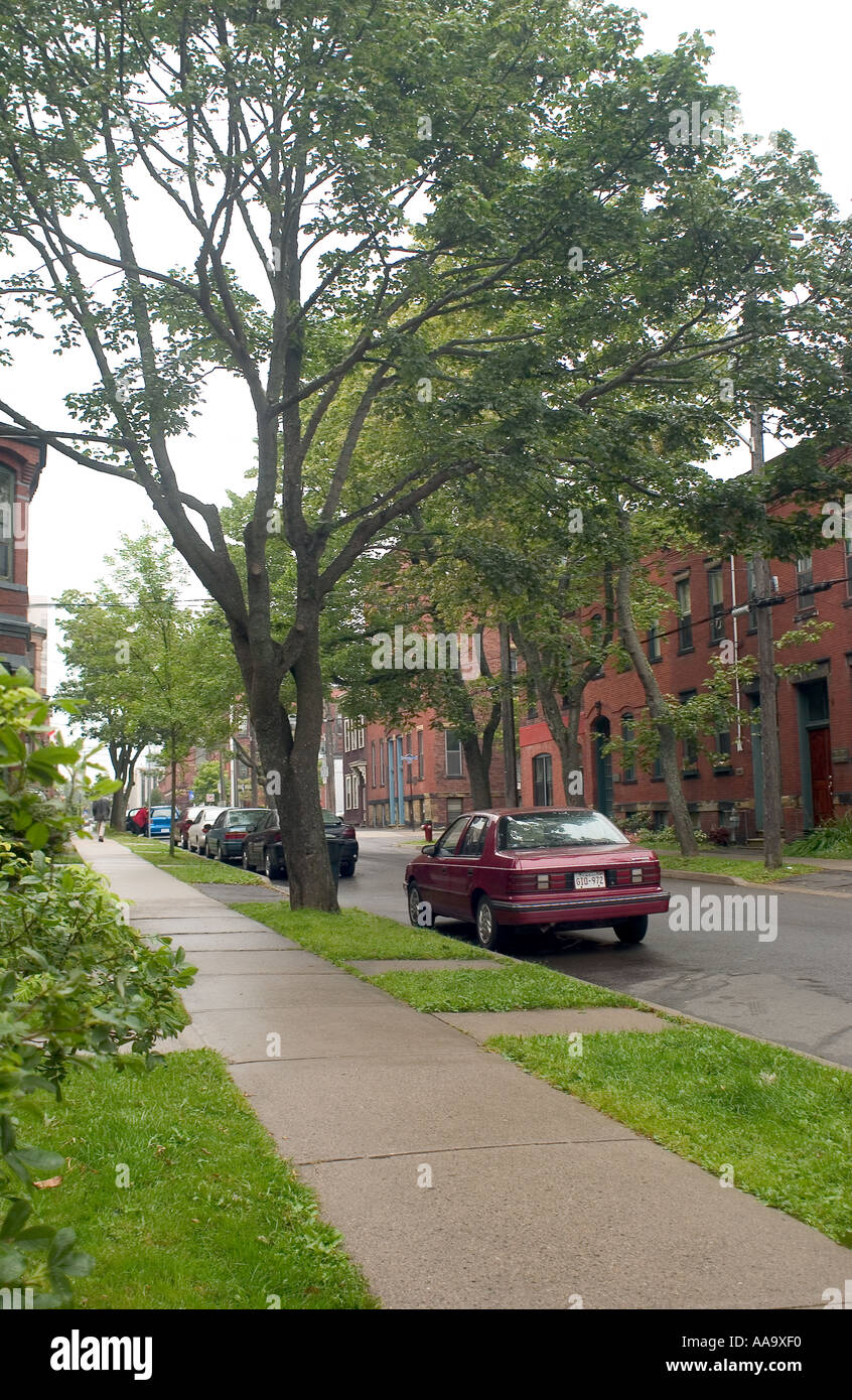 DHP99953 maisons locales de la rue à St John Canada Amérique du Nord Banque D'Images