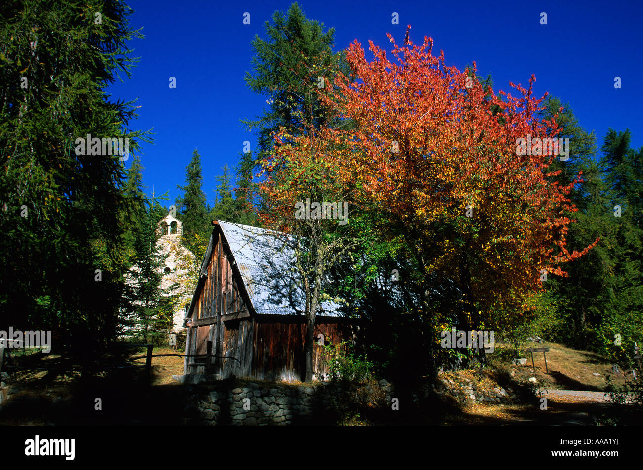 Arbres en automne couleurs France Banque D'Images