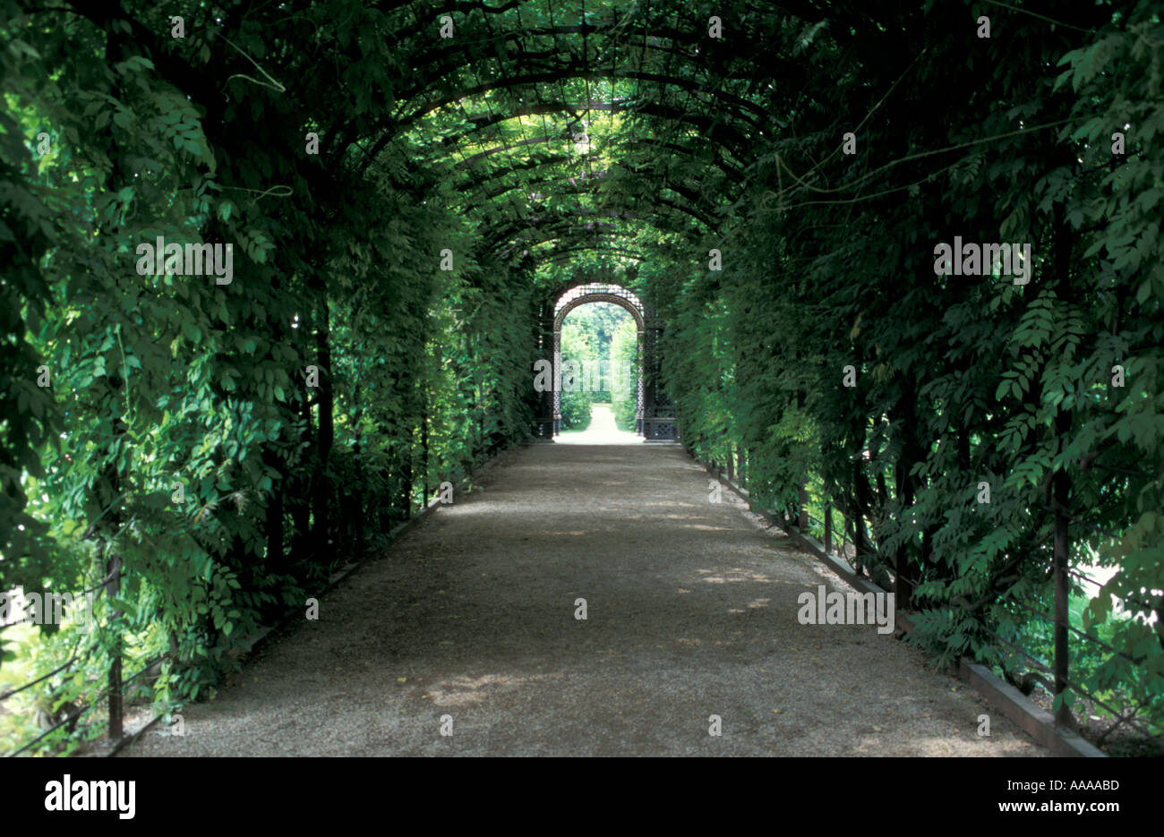 Les Jardins du Palais de Shonbrunn chemin couvert, Vienne Banque D'Images