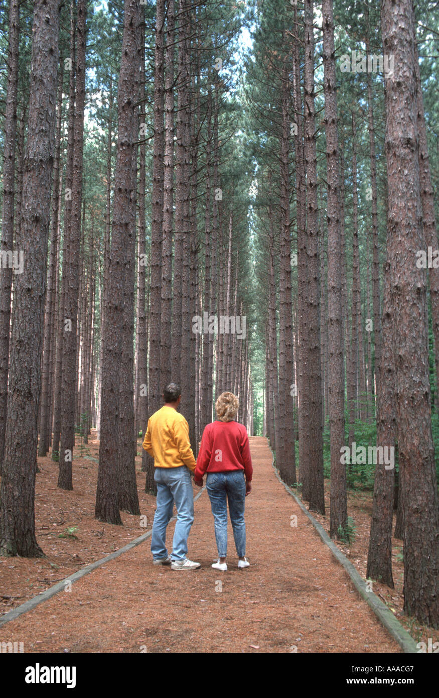 Cuming Nature Centre à Naples New York NY Banque D'Images