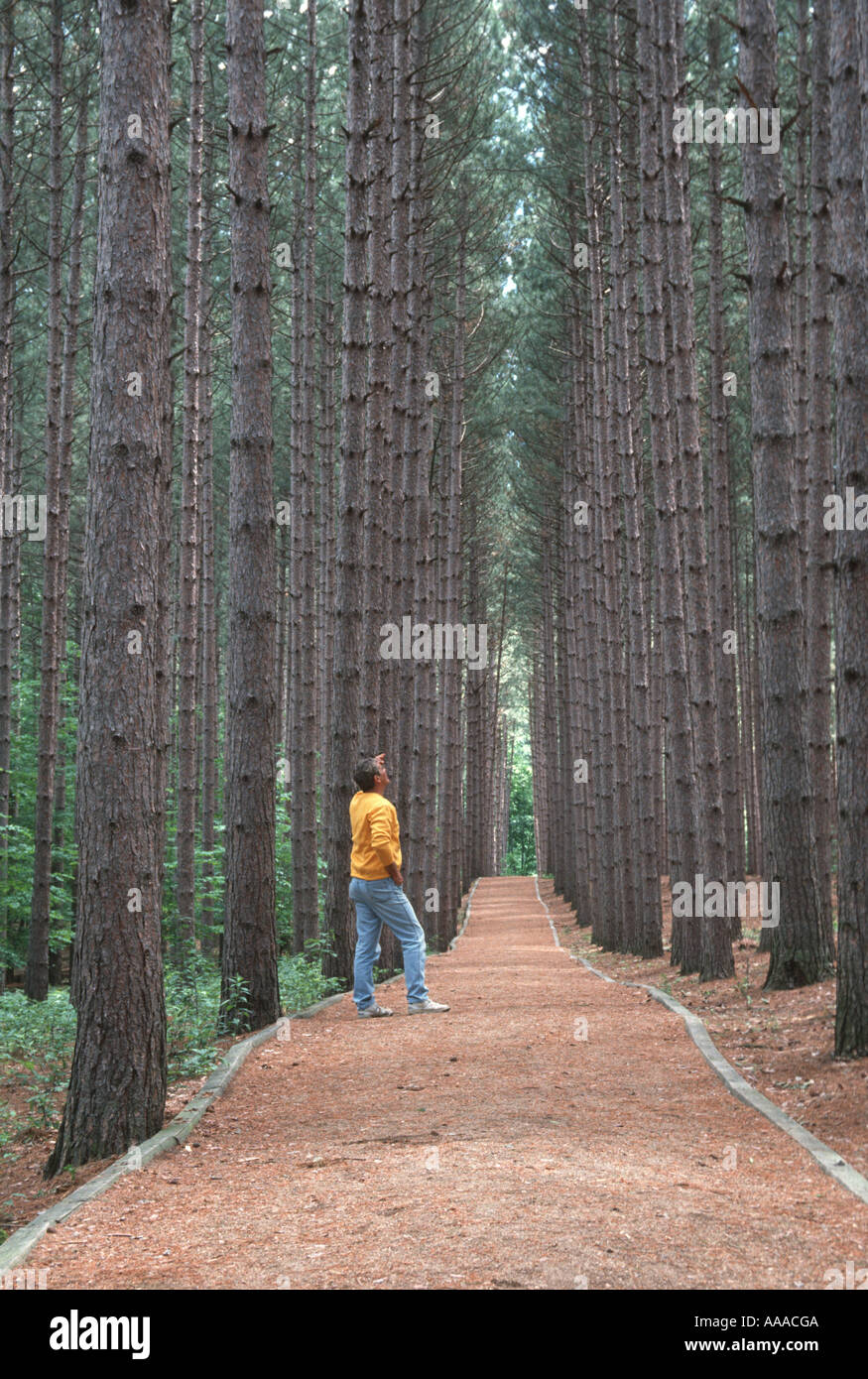 Cuming Nature Centre à Naples New York NY Banque D'Images