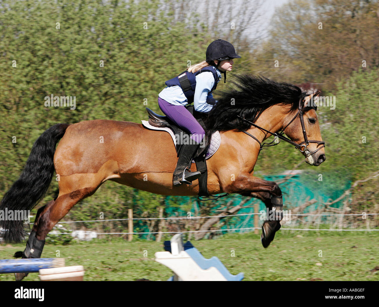 Jeune fille poney saut sur saut en bois Banque D'Images