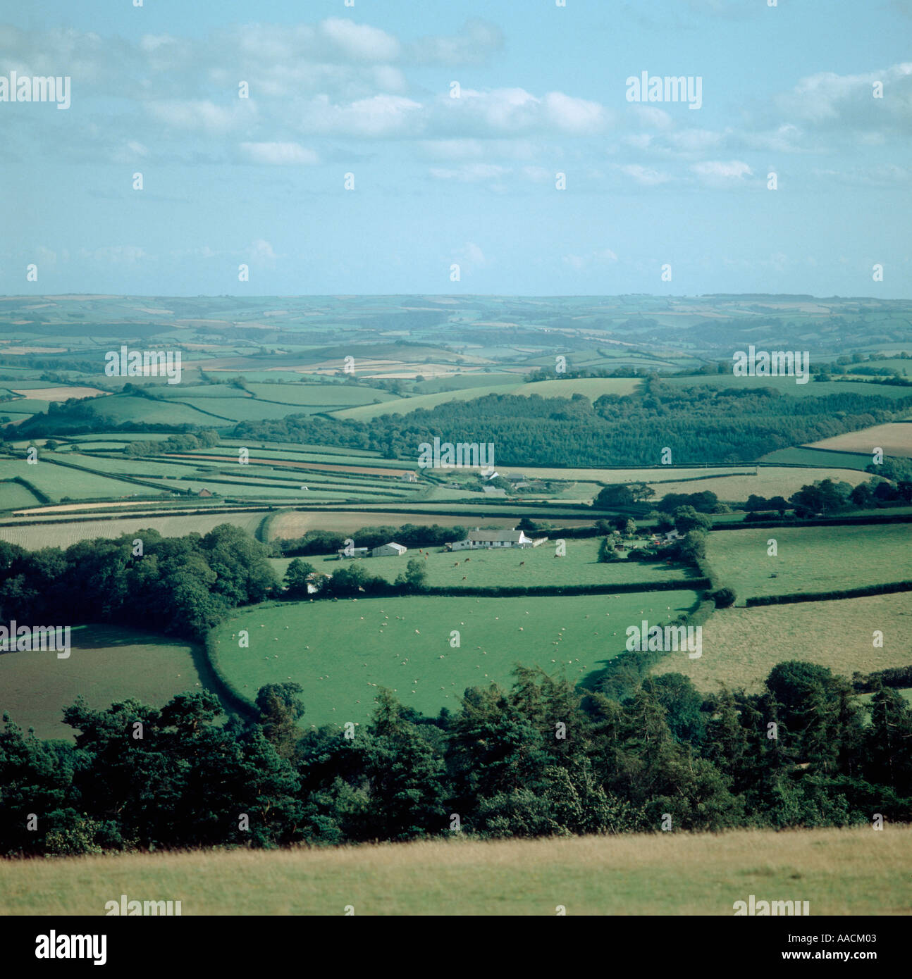 Terres agricoles Devon avec de petits champs sur fine summer day Banque D'Images