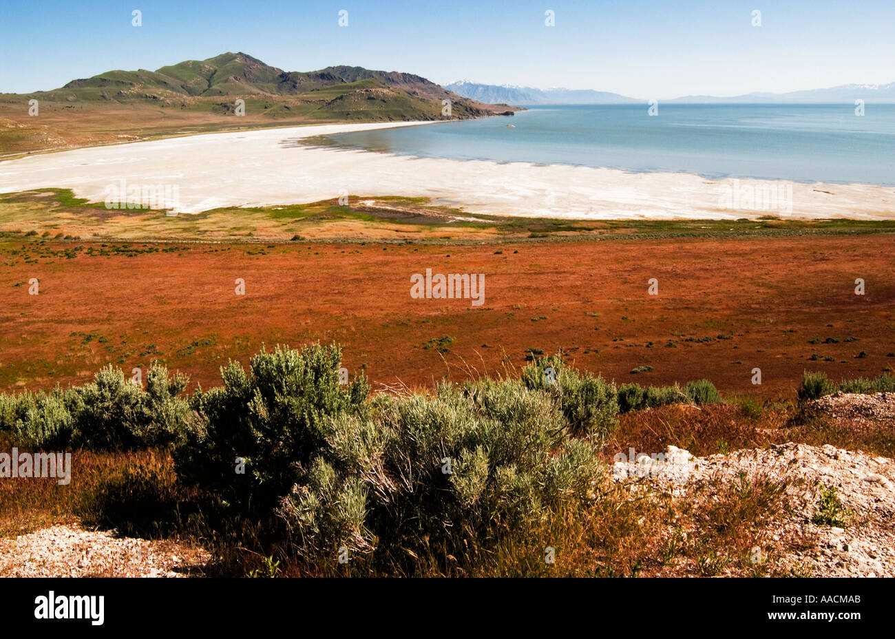Vue panoramique sur le parc d'État d'Antelope Island entouré par le Grand Lac Salé à Salt Lake City, Utah, États-Unis. Banque D'Images