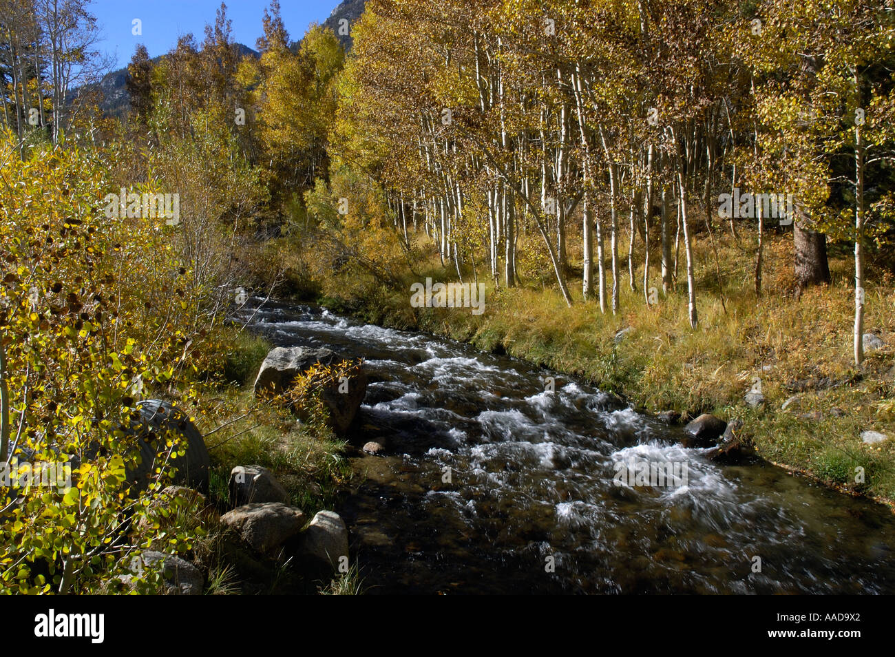 Cours d'automne en Californie Banque D'Images