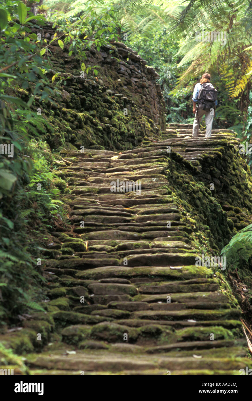 La Ciudad Perdida la ville perdue dans les montagnes de la Sierra Nevada dans le nord de la Colombie Banque D'Images