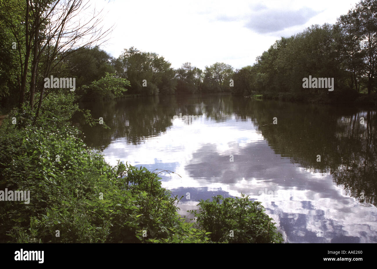 Tamise près de Sonning Berkshire Banque D'Images