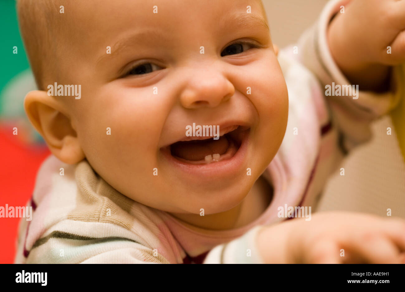 Bébé fille âgée de 10 mois] [montrant deux nouvelles dents sur la rangée du  bas] avec d'autres sur top venant par Photo Stock - Alamy