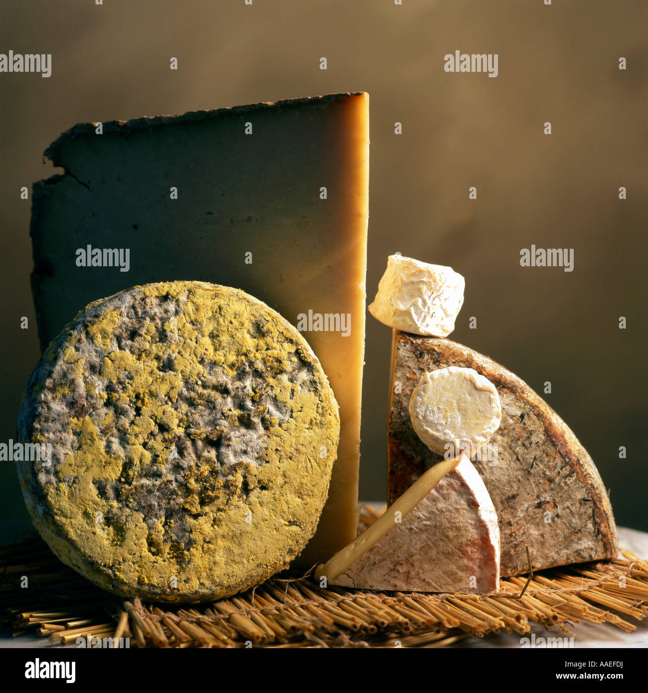 Still Life - Variété de fromages français Banque D'Images