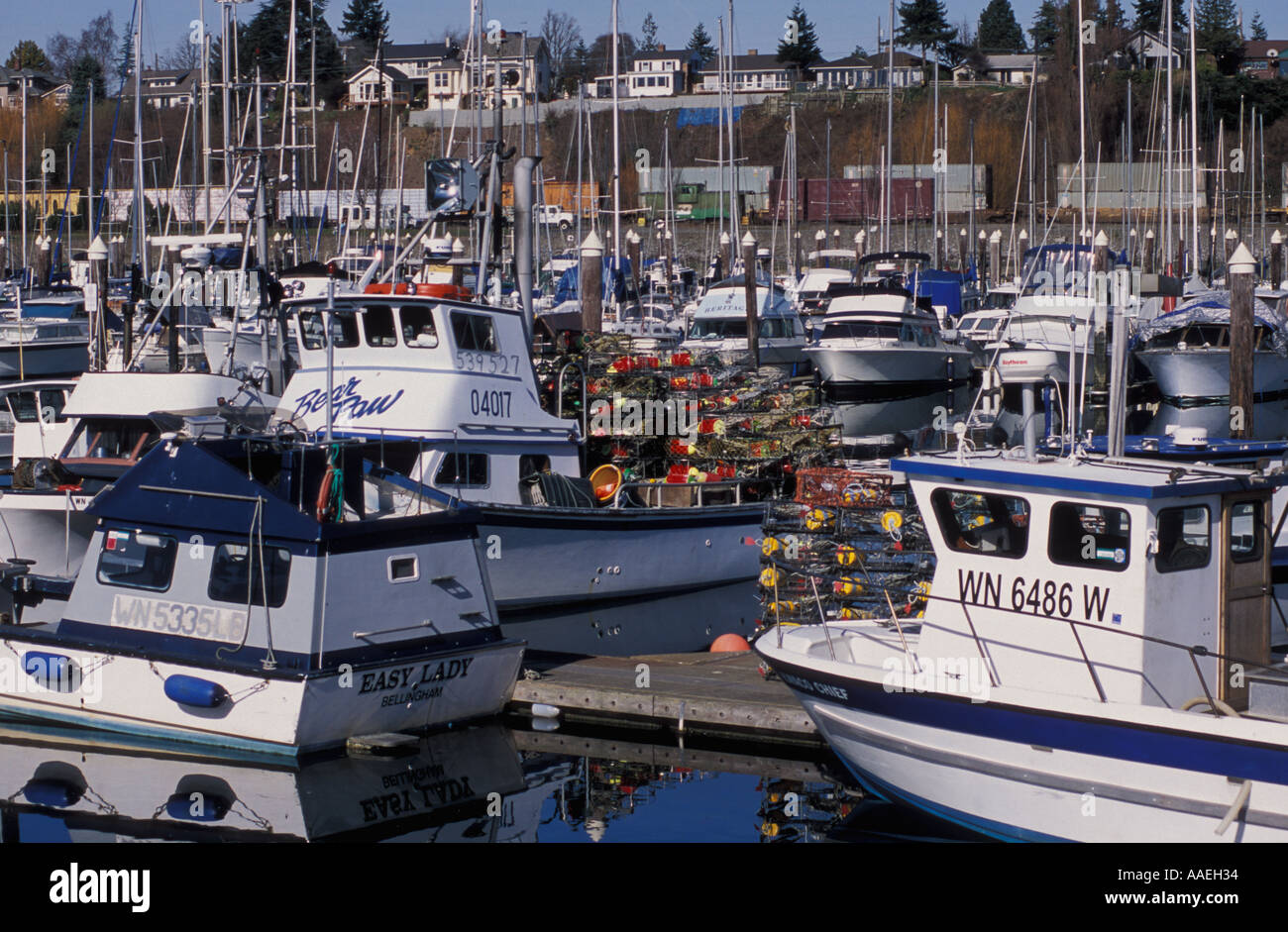 Bateaux dans le port de Squalicum Bellingham Washington Banque D'Images