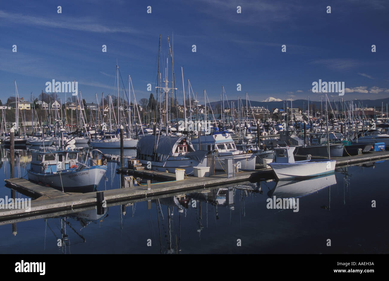 Bateaux dans le port de Squalicum Bellingham Washington Banque D'Images