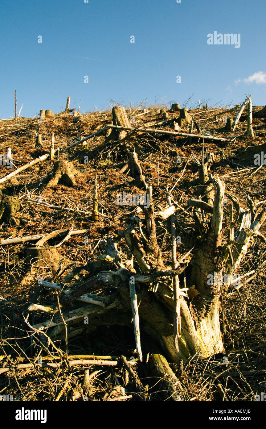 Une coupe près de Torver Lake District Banque D'Images