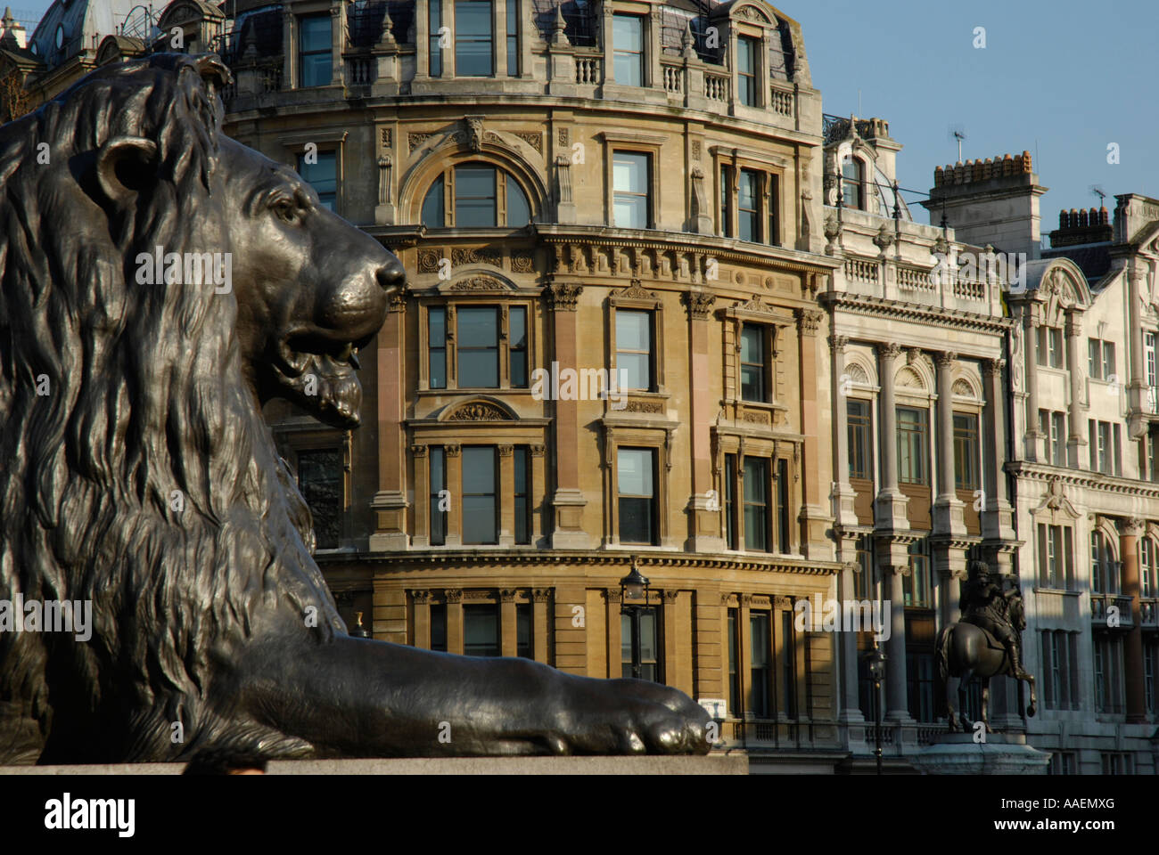 Lion de Landseer à Trafalgar Square à Whitehall sur les bâtiments et statue du roi Charles 1er, Londres, Angleterre Banque D'Images