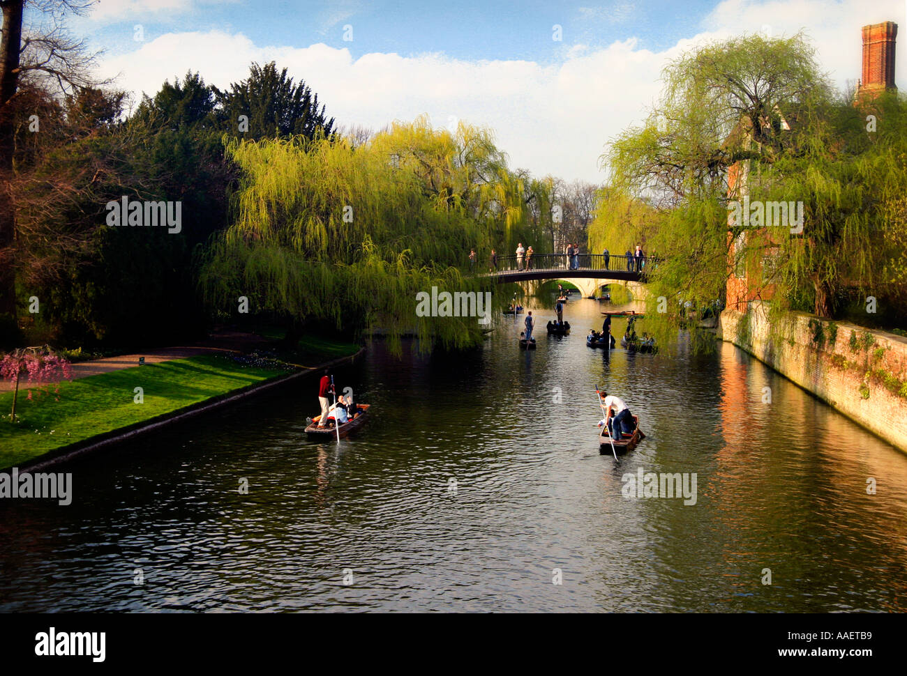 Promenades en barque sur la rivière Cam, Angleterre Banque D'Images