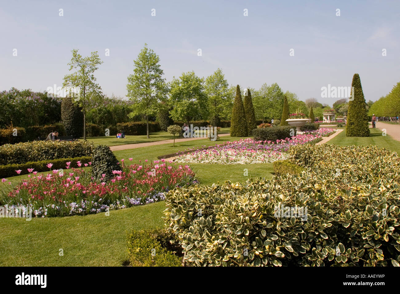 L'été de fleurs de Regents Park Londres GB Banque D'Images