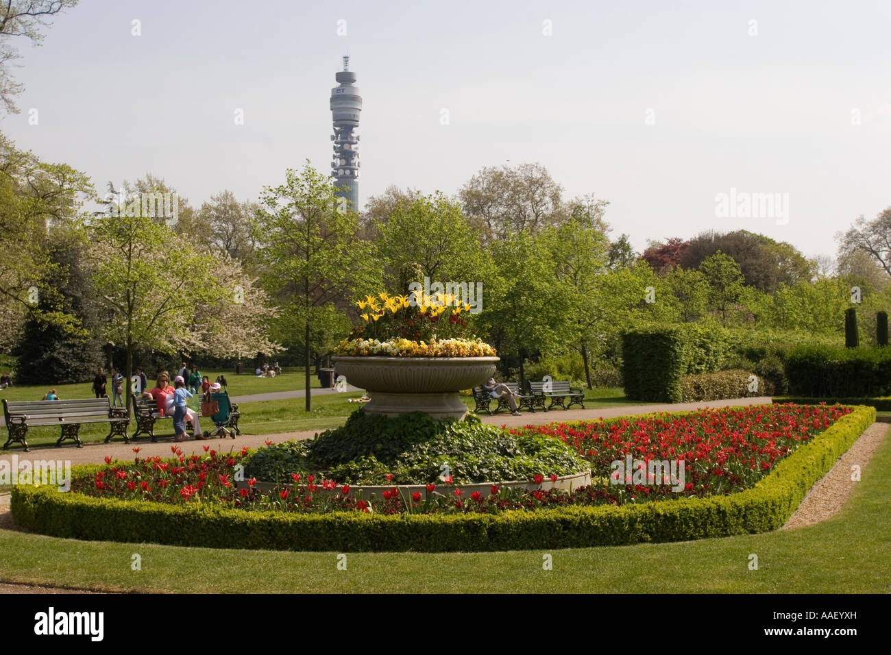 L'été de fleurs de Regents Park Londres GB Banque D'Images