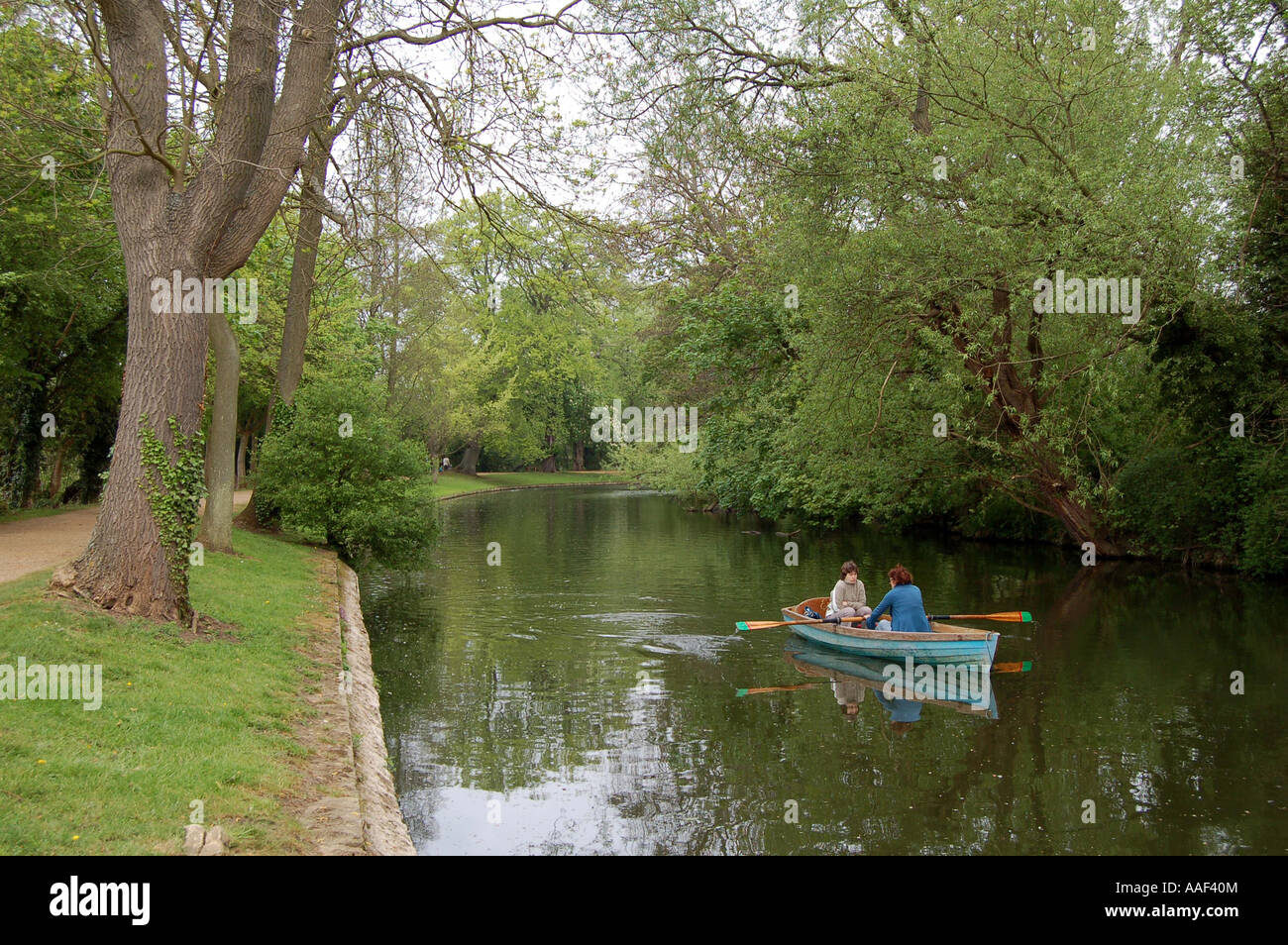 Les gens de l'aviron sur la rivière Cherwell dans l'enceinte de l'Université d'Oxford Banque D'Images