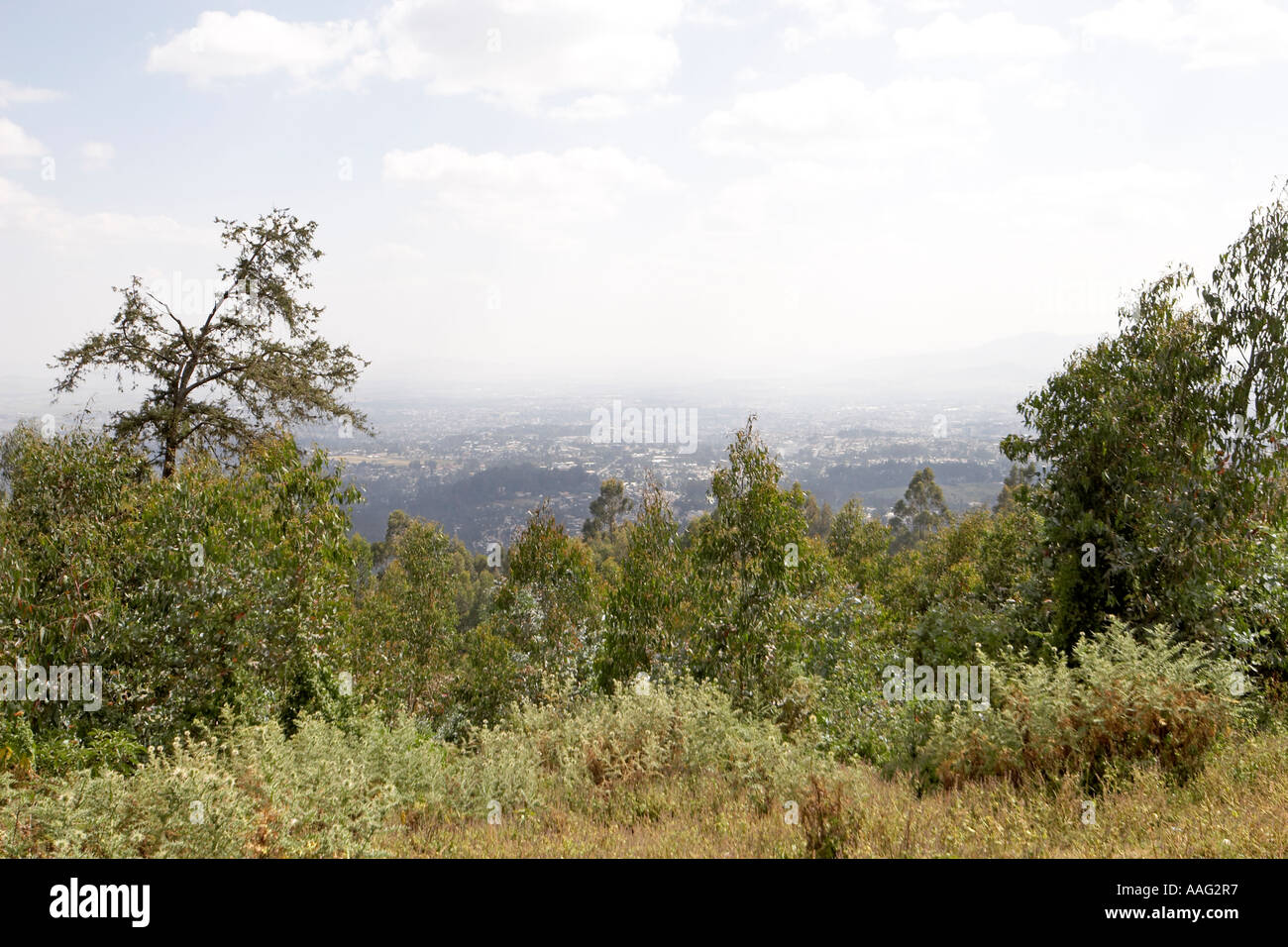 Vue depuis les collines d'Entoto Addis Ababa Ethiopie Afrique Banque D'Images