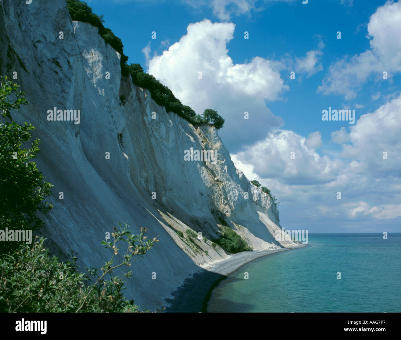 Craie précipitée falaises de møns klint, Møn, danemark Banque D'Images