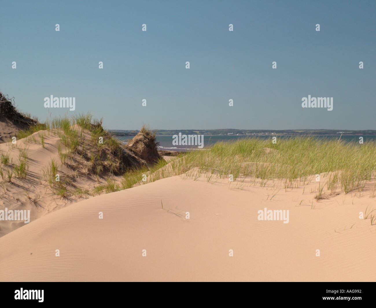 AJD38064, le Canada, l'Île du Prince Édouard, comté de Queens, Golfe Saint-Laurent, à la plage de Cavendish, Prince Edward Island National Park Banque D'Images