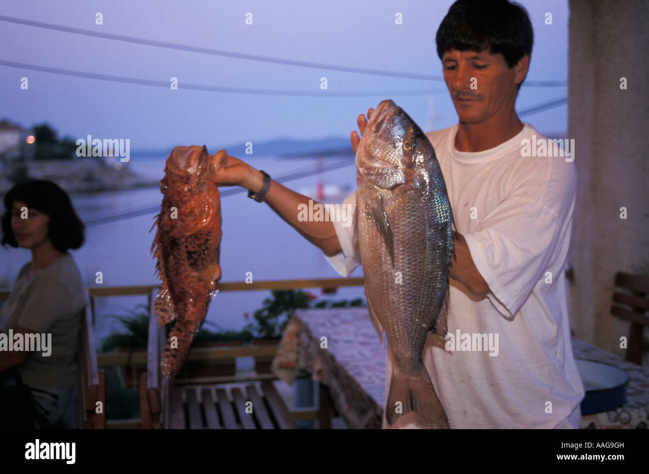 Man holding poisson frais Bife Toni Sali Dugi otok croatie Dalmatie île Banque D'Images