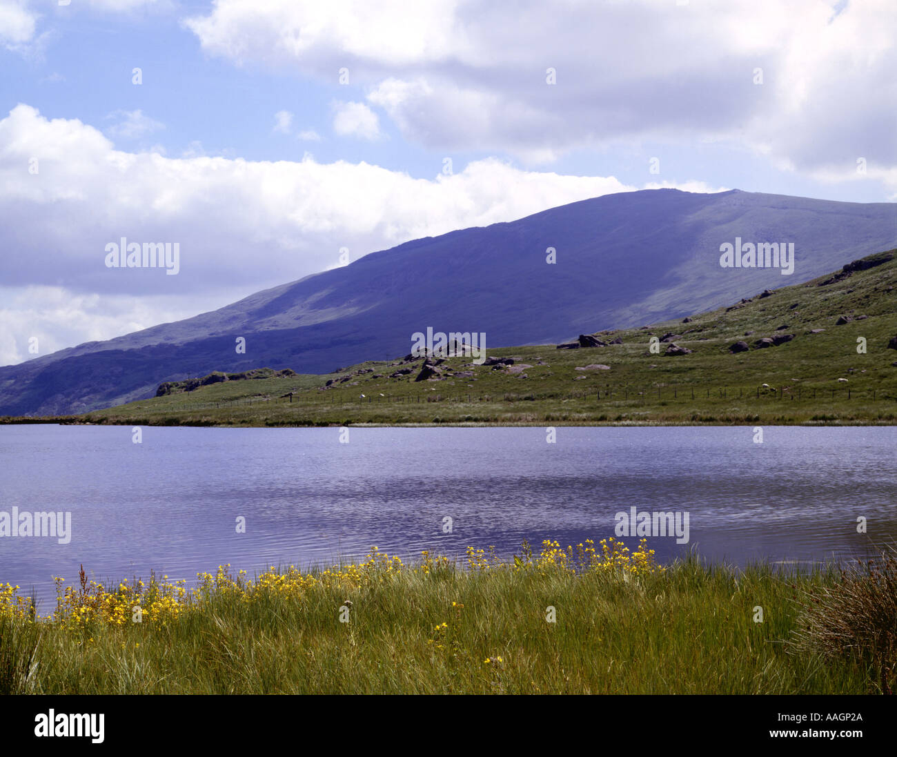 Pays de Galles Snowdonia Moel Siabod Banque D'Images