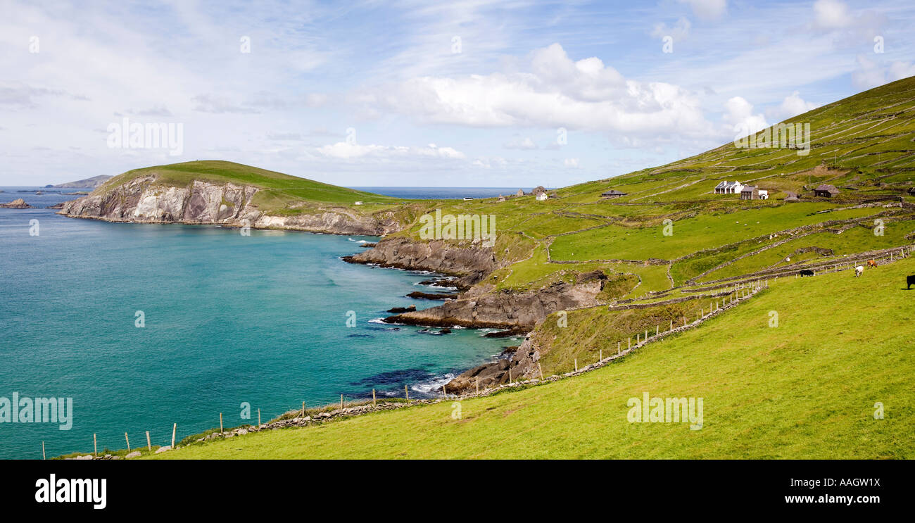 Dingle Kerry Irlande Slea Head Coumeenoole et baie panoramique tête Dumore Banque D'Images