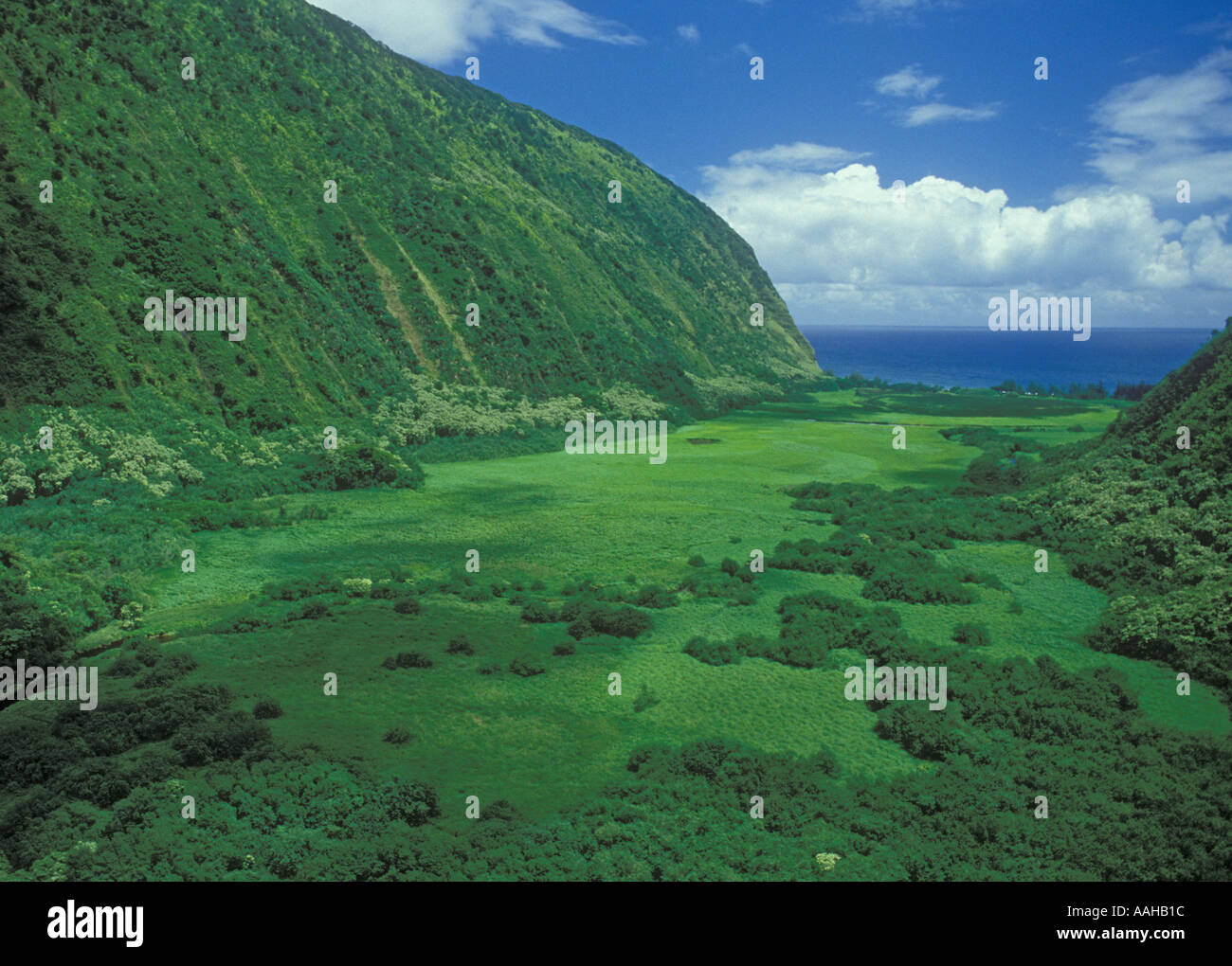 Waimanu Valley National Estuarine Research une réserve sur l'Hamakua North Kohala Coast de l'île d'Hawaii Banque D'Images