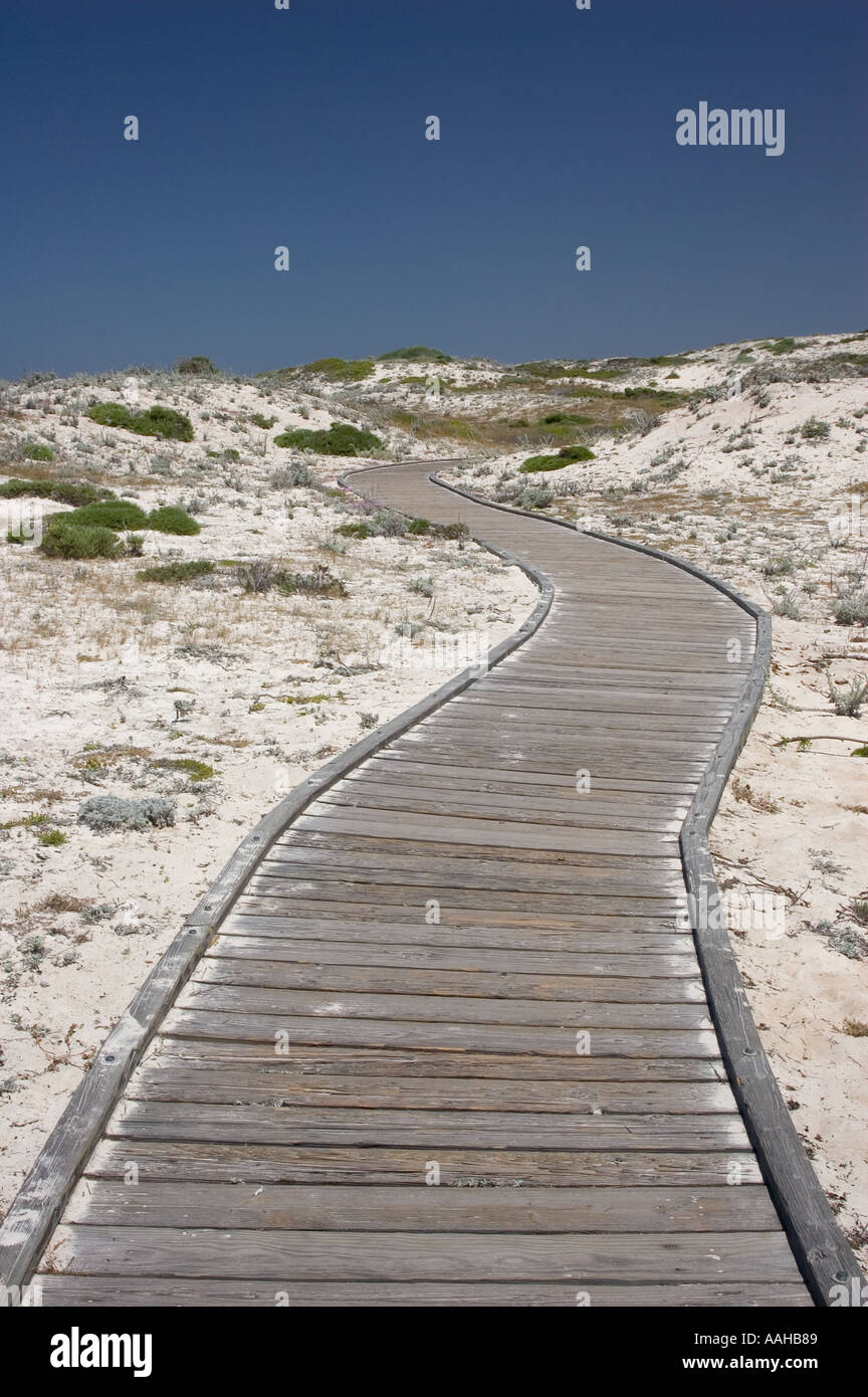 Sentier des dunes de sable à l'état d'Asilomar Park le comté de Monterey Californie USA Banque D'Images