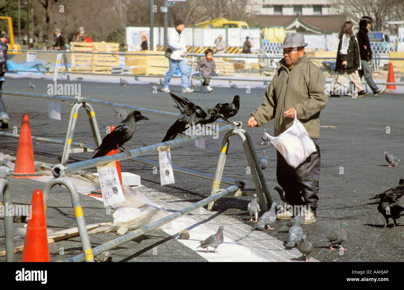 Japon Tokyo Ueno Park Nourrir les oiseaux vieil homme senior retraité Banque D'Images