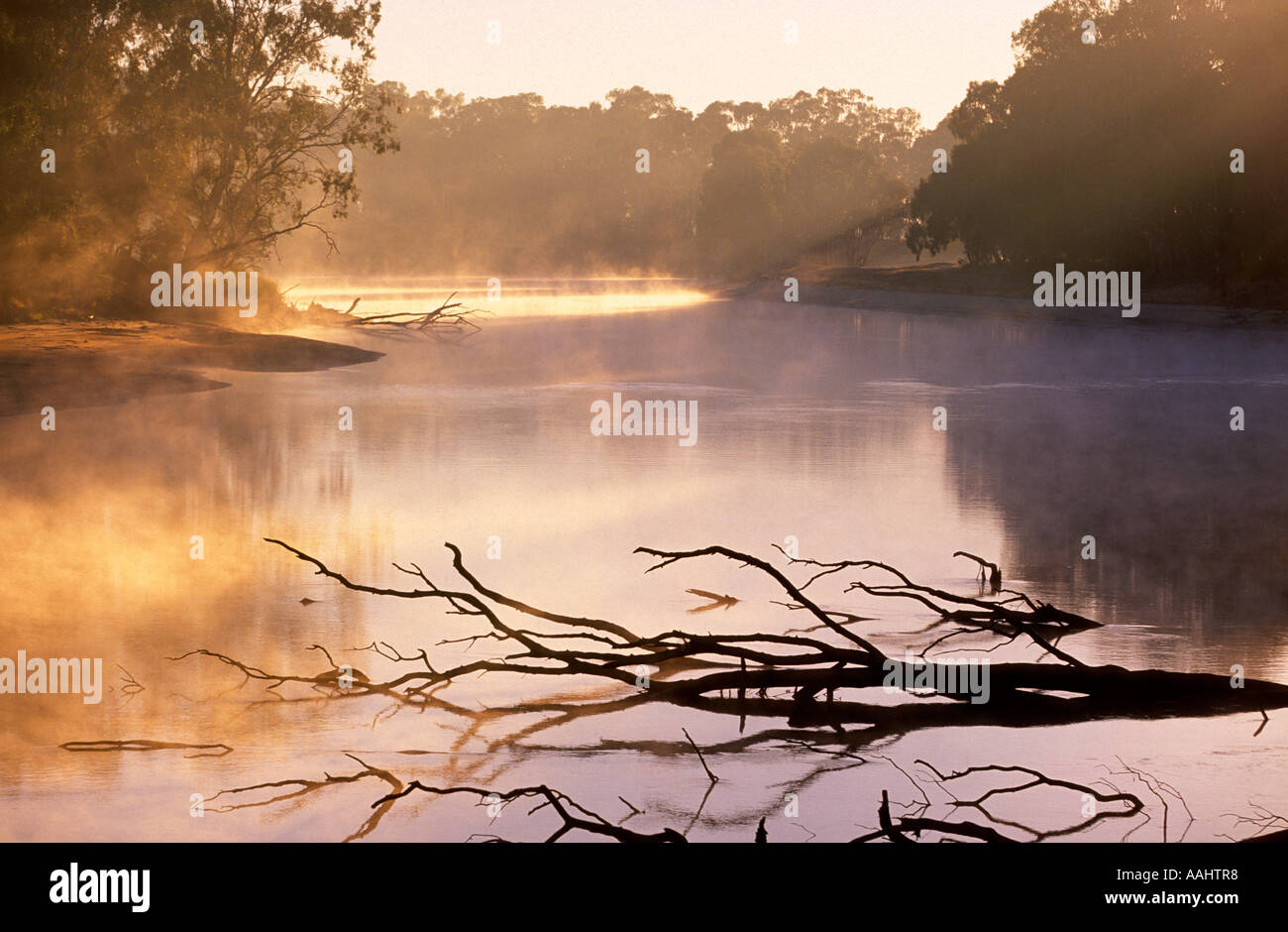 Rivière 'Murray' l'Australie Banque D'Images