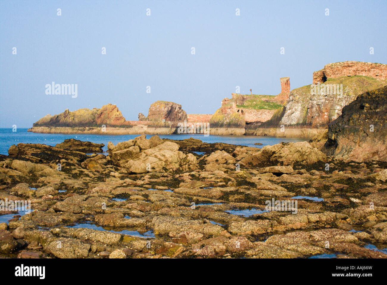 Ruines du château de Dunbar Beach et East Lothian en Écosse Banque D'Images