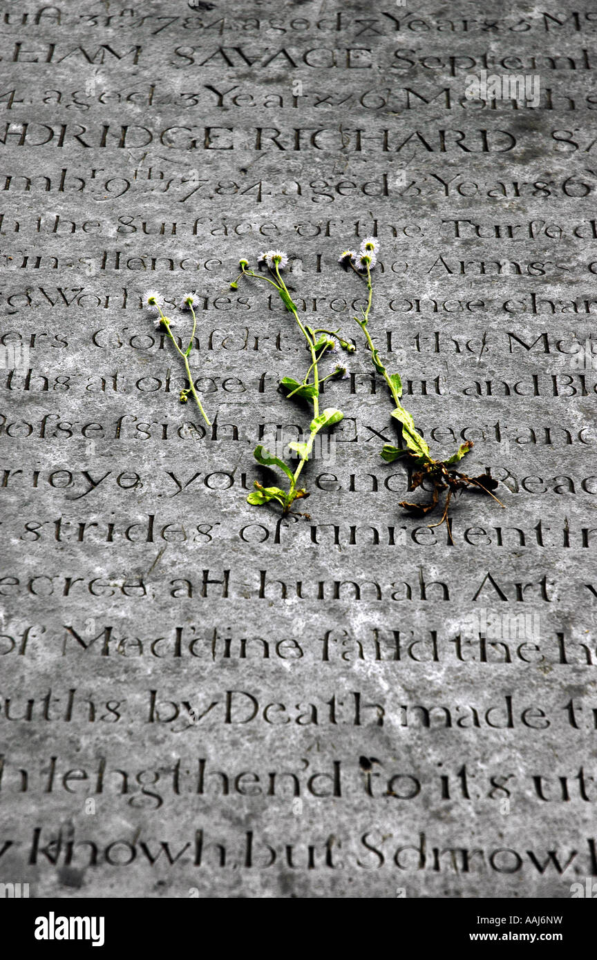 Au cimetière de l'Église congrégationaliste circulaire Charleston, Caroline du Sud Banque D'Images