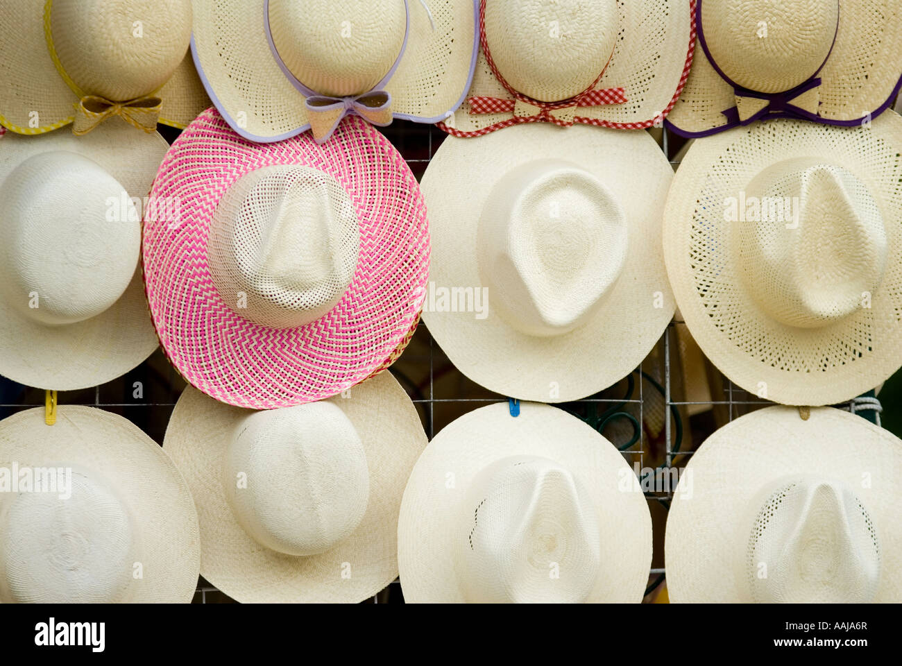 Panama Hats Yucatan Banque d'image et photos - Alamy