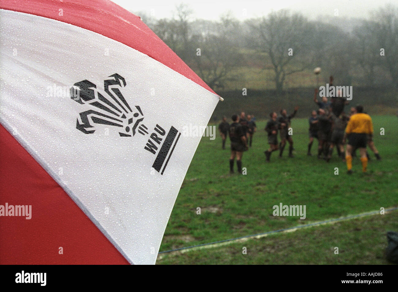 Un spectateur sous un parapluie WRU un match à Bedlinog RFC Glamorgan Wales UK Banque D'Images