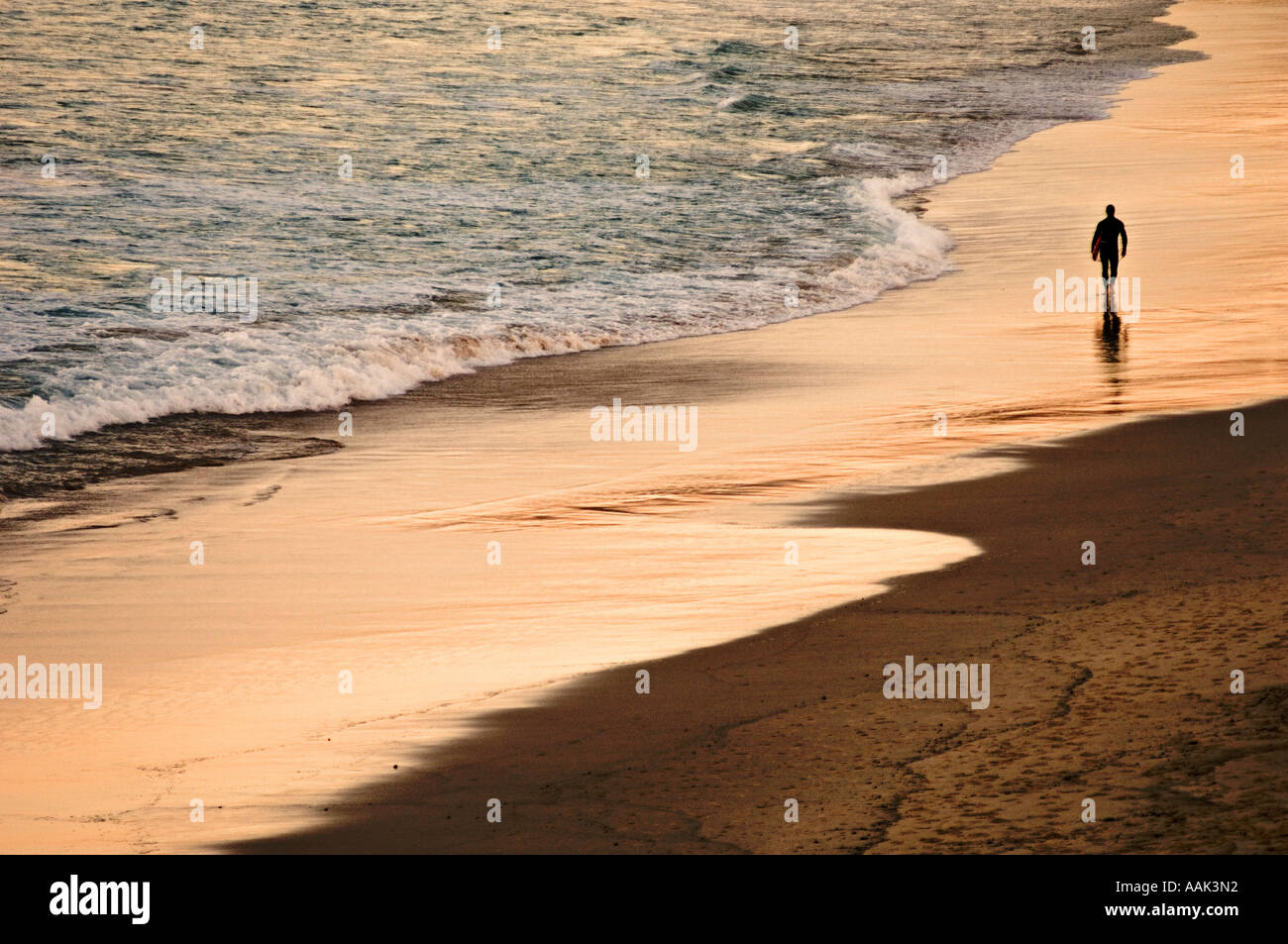 Surfer sur la plage de Bondi à pied au coucher du soleil Banque D'Images