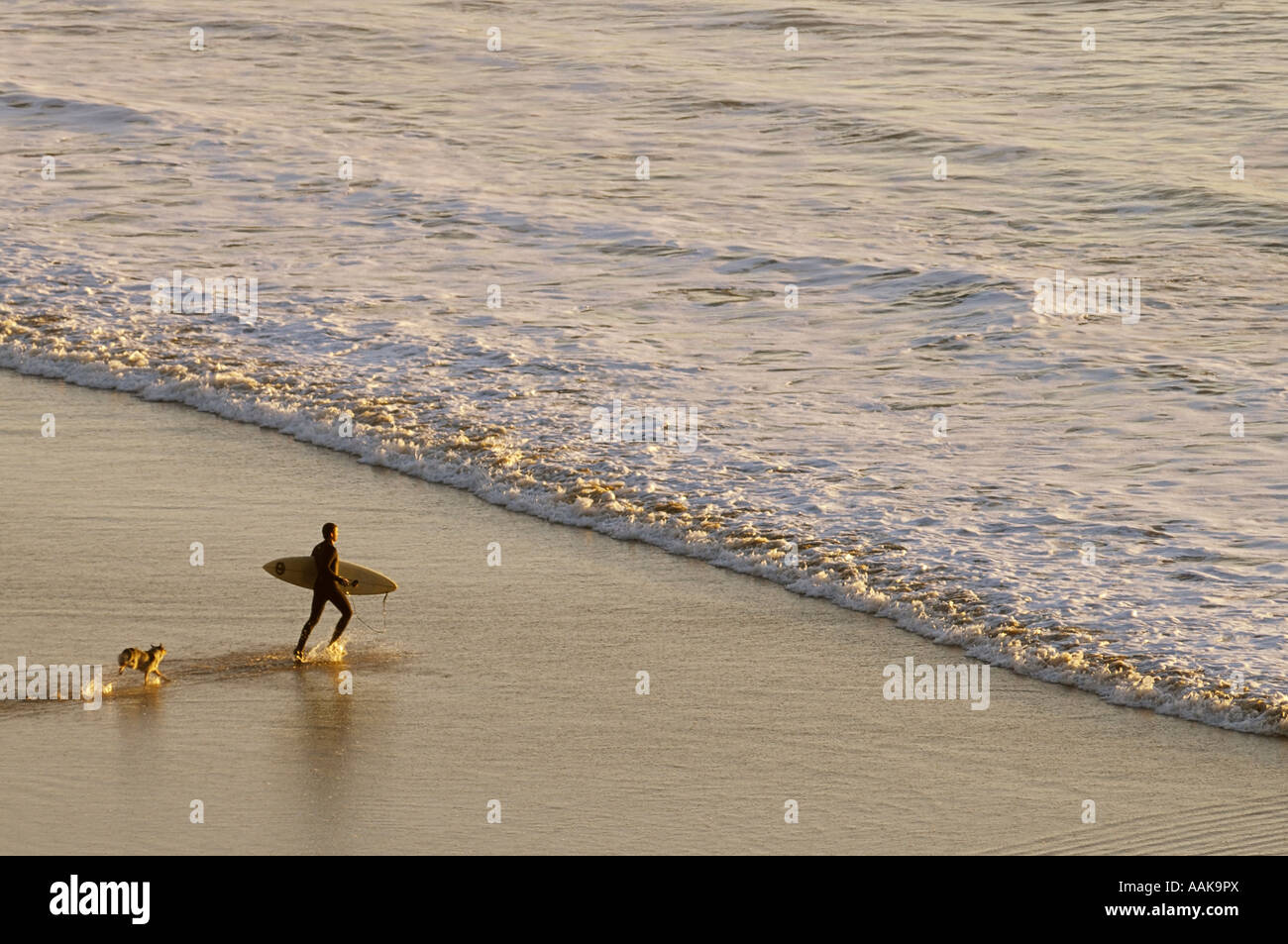 Partir à surfer des vagues avec chien courir après lui Ecoloa Indian Beach State Park le nord de l'Oregon coast Banque D'Images