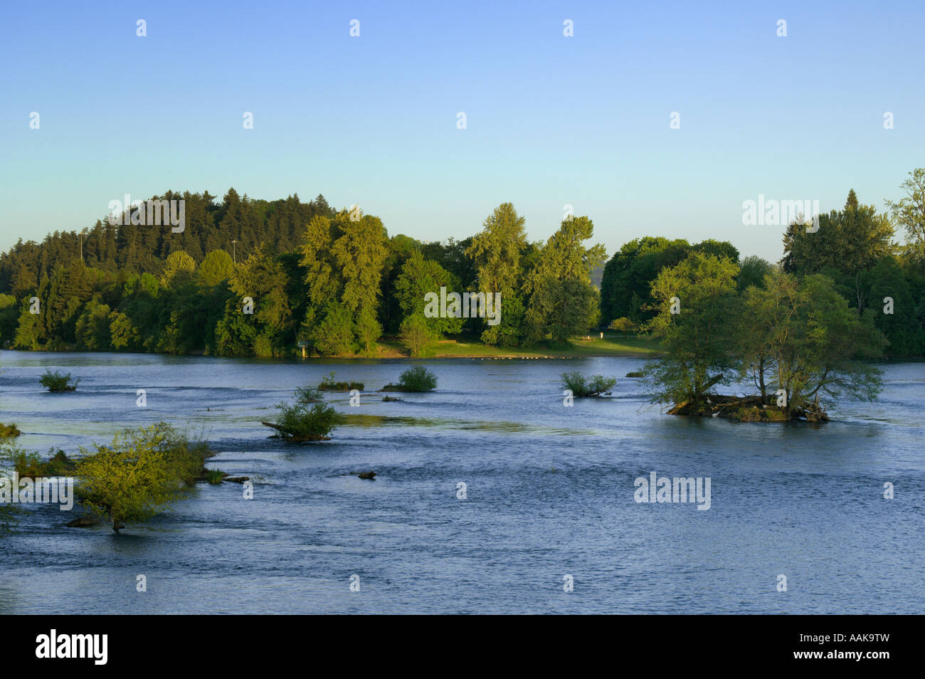 La rivière Willamette et Skinner Butte Park Eugene Oregon Banque D'Images