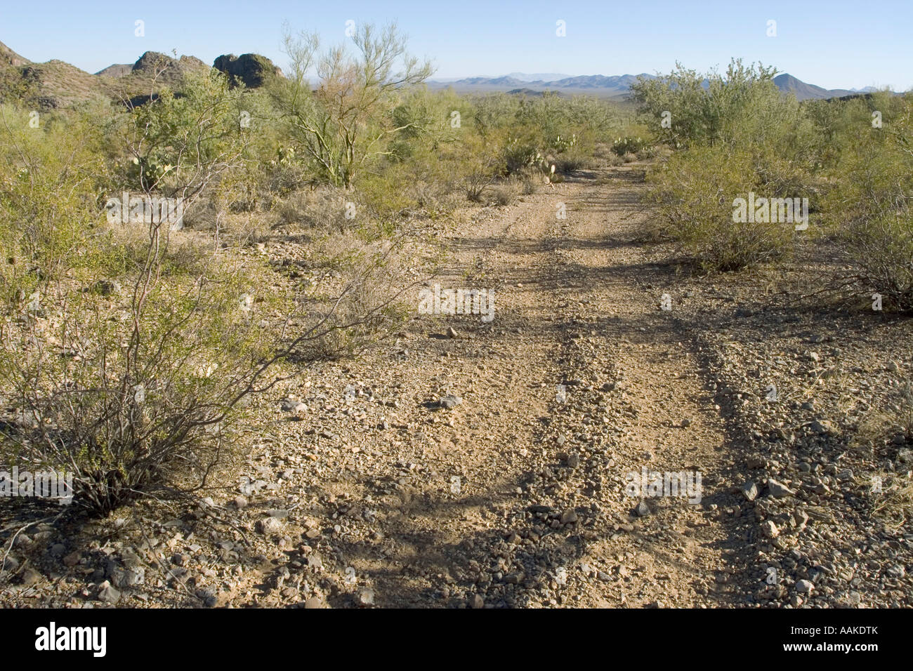 Route de terre dans les montagnes près de Tucson Arizona Waterman Banque D'Images