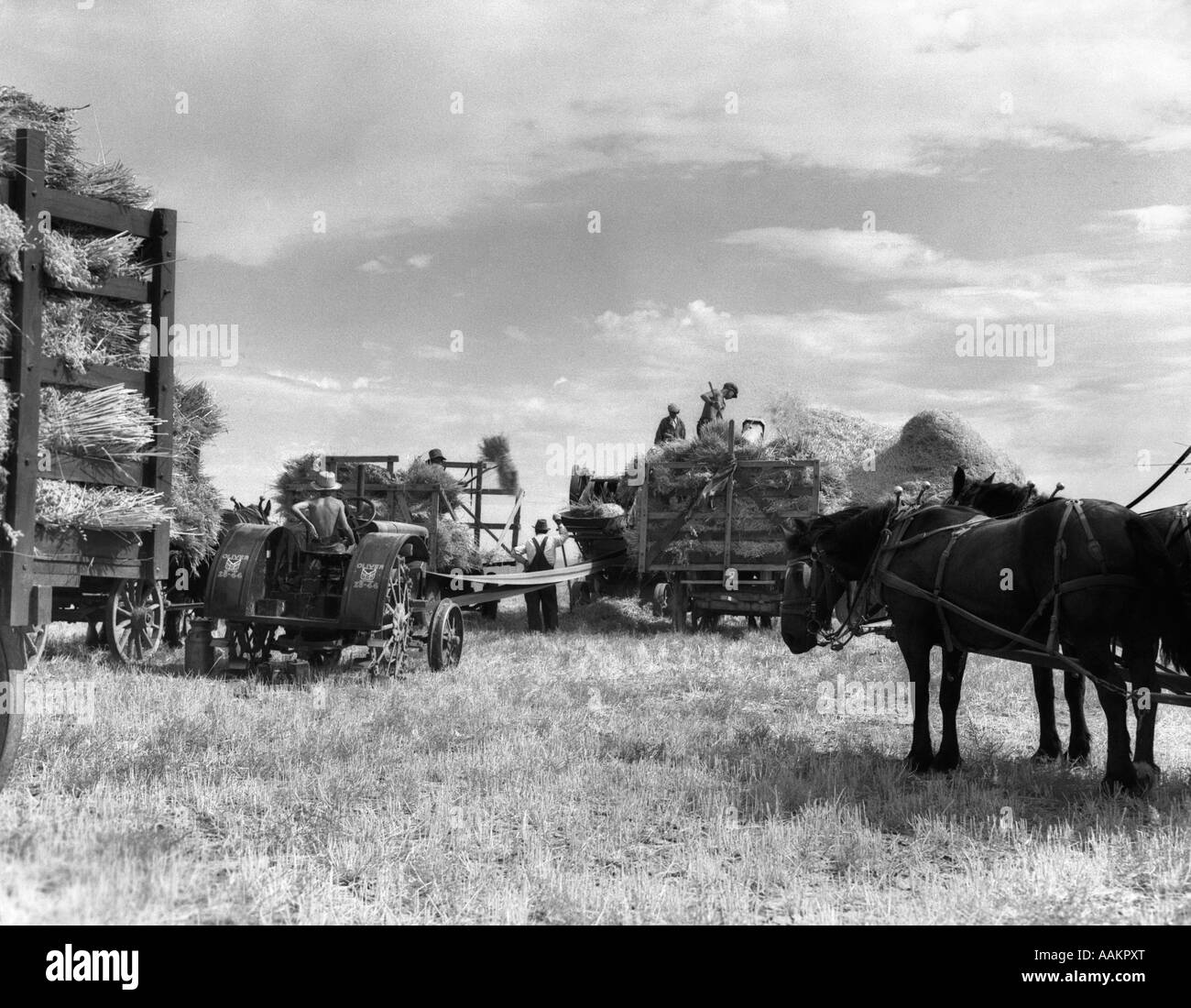 1940 LA RÉCOLTE DE L'AVOINE DES CHEVAUX MONTANA LAUREL FARM WAGONS MAINS MACHINES TRAVAILLEURS REAP RÉCOLTER LE FOIN GRAIN RÉCOLTE LES AGRICULTEURS HOMMES DE PAILLE Banque D'Images
