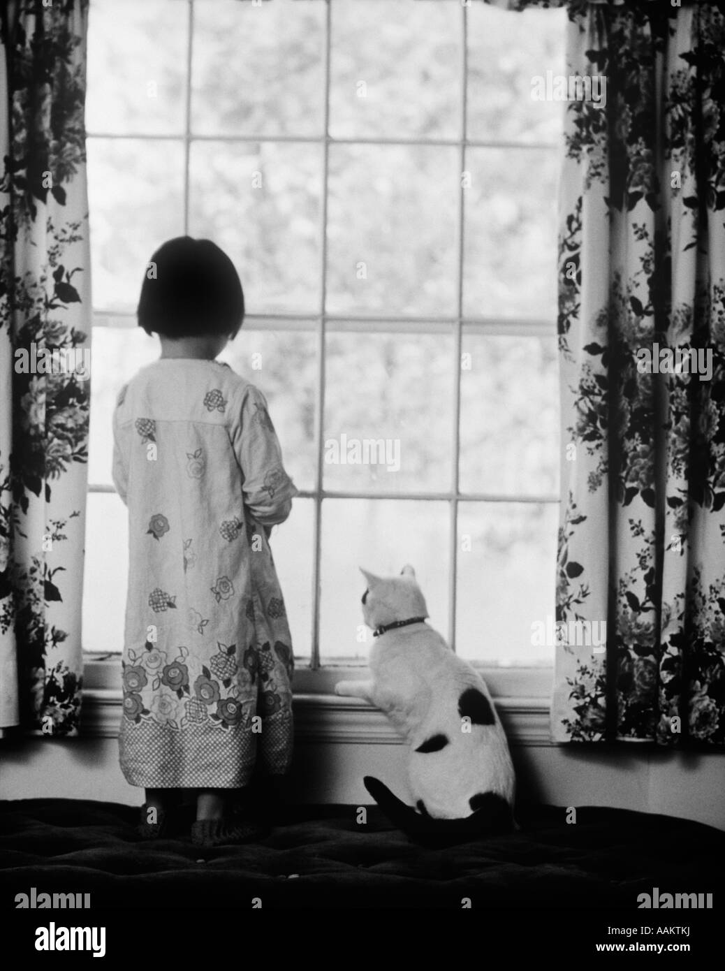 1980 Petite fille en robe imprimée et son animal de compagnie CHAT DEBOUT ET LOOKING OUT WINDOW Banque D'Images