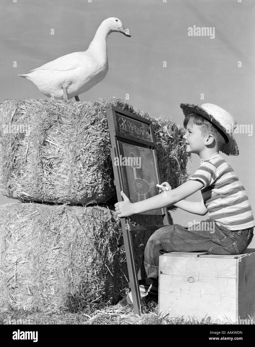 1950 garçon assis TABLEAU PHOTO DESSIN botte de foin debout Canard Banque D'Images