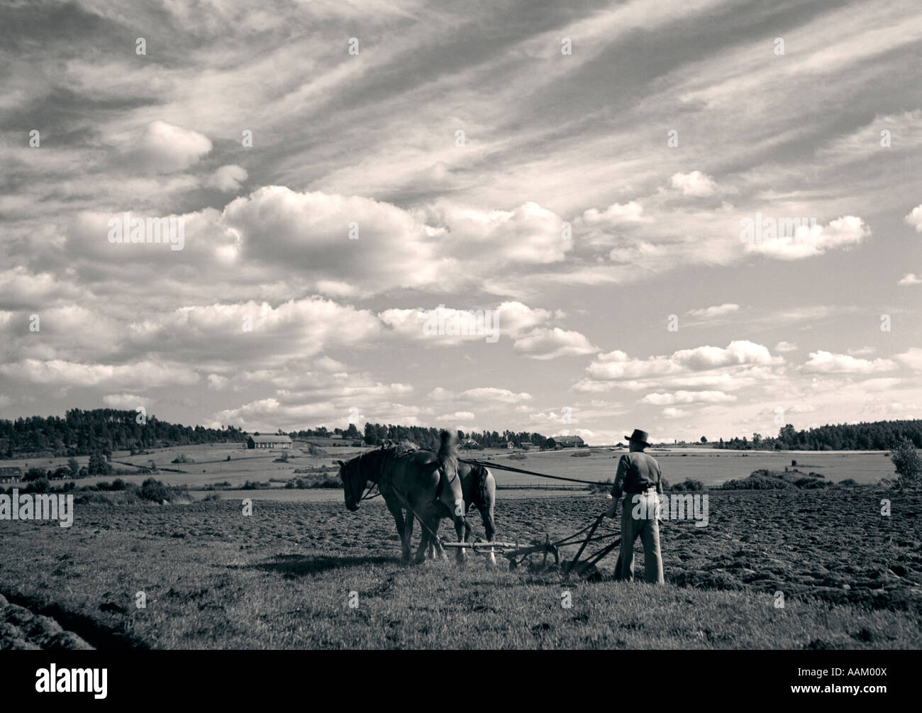 1930 VUE ARRIÈRE DE L'AGRICULTEUR derrière la charrue tirée par deux chevaux Banque D'Images