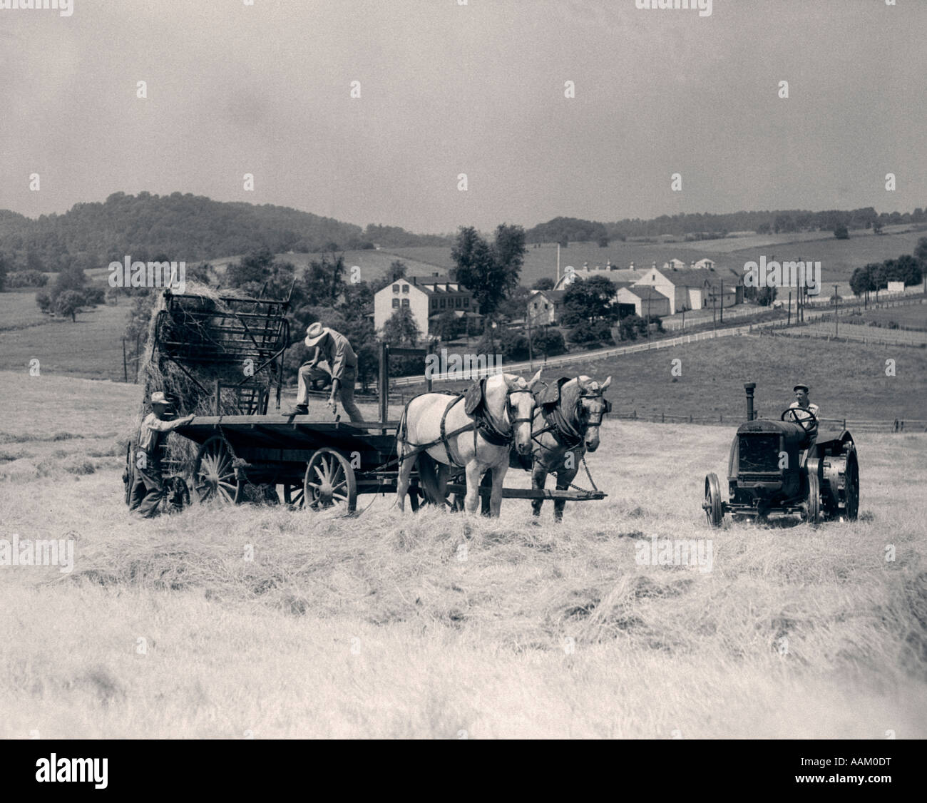 1930 PAIRE DE DUMPING LES HOMMES DE FOIN RETOUR DE CHARIOT TIRÉ PAR DEUX CHEVAUX AVEC L'HOMME SUR LES COURS D'ÉQUITATION DU TRACTEUR Banque D'Images