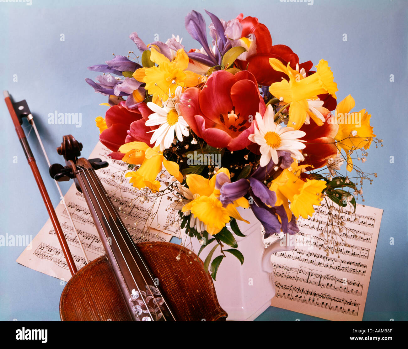 1970 PRINTEMPS TULIPES bouquet de jonquilles DAISY VIOLON PARTITIONS Banque D'Images